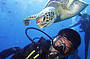 4 Day PADI Open Water Learn to Dive Course