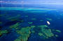 The Great Barrier Reef