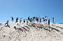 Jumping at the Henty Dunes