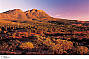 5 Day Flinders Ranges & Outback Inc Arkaroola (4nts Superior Motel Unit - Double/Twin)